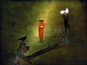 4058605601_97dc390a96_z